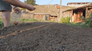 Вспахали огород. Посадили картошку. Жизнь в деревне.