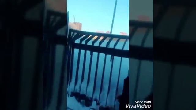 Реакция людей, на громкого певца