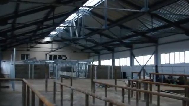 Животноводческий комплекс на 1200 голов КРС смотреть онлайн