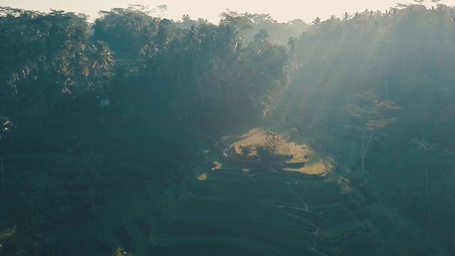 Tegalalang Rice Terraces (Bali, Indonesia) смотреть онлайн