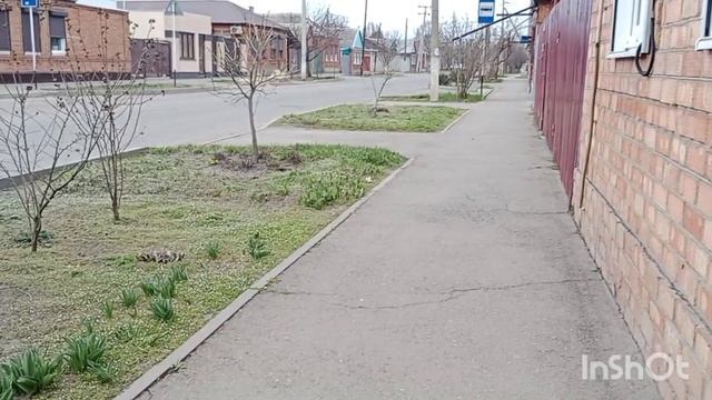 Природа в Ейске просыпается... Пятиэтажки на Богданке... смотреть онлайн