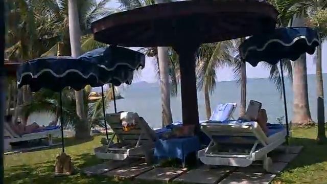 Royal Wing Hotel, Pattaya - pool area смотреть онлайн