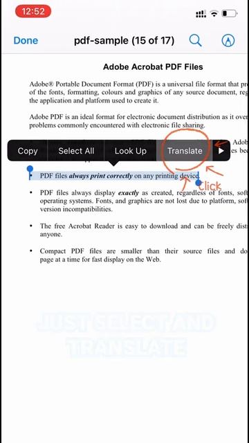 Translations Inside Pdf Document📲😎 #shorts #trick #ios15 #iphone #ios14 #hack