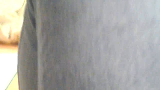 Это я гусь гай