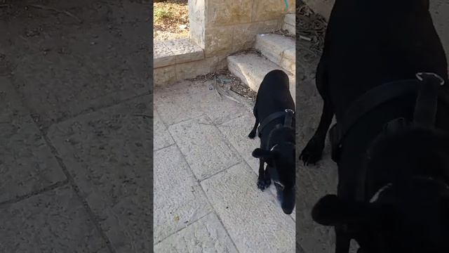 Аня, Аня... 30 мая 2017 смотреть онлайн