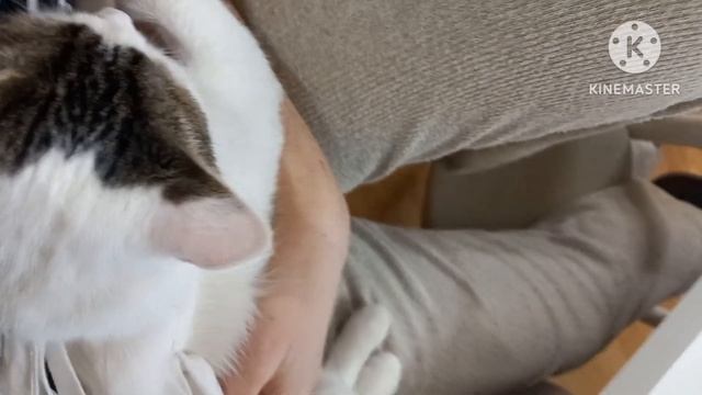 Убирайся вместе со мной / Реальная Уборка / Мотивация На Уборку / ДР Юли смотреть онлайн