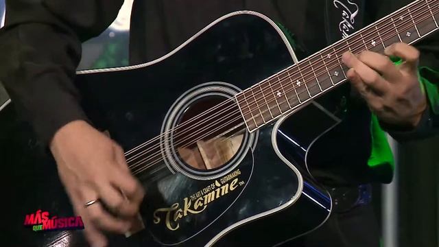 Auriel Gaxiola - El Rey Leon 