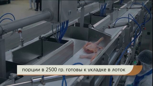 Фасовка и упаковка окорочков 2 смотреть онлайн
