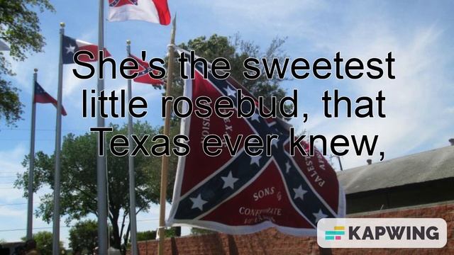 The Yellow Rose of Texas смотреть онлайн