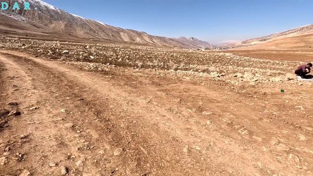 Struggle to Betrayal:Nomadic Mother's Battle Against Betrayal an Evil Husband смотреть онлайн