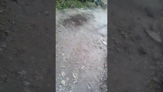 Блог иду со школы номер 2 смотреть онлайн