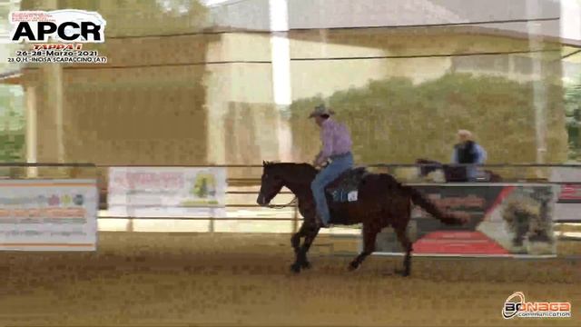 NRHA APCR 23 SPRING 2021 - BONZANO MANUEL CARLO SILVIO & JUST LIKE A PILL score 71 смотреть онлайн