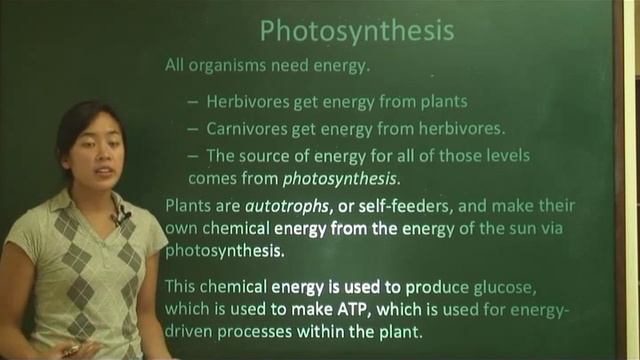 [SAT2 - Biology] Lecture 5: Photosynthesis, Light Reactions, Calvin Cycle смотреть онлайн
