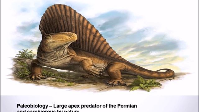 Two Measures of Teeth (Dimetrodon) смотреть онлайн