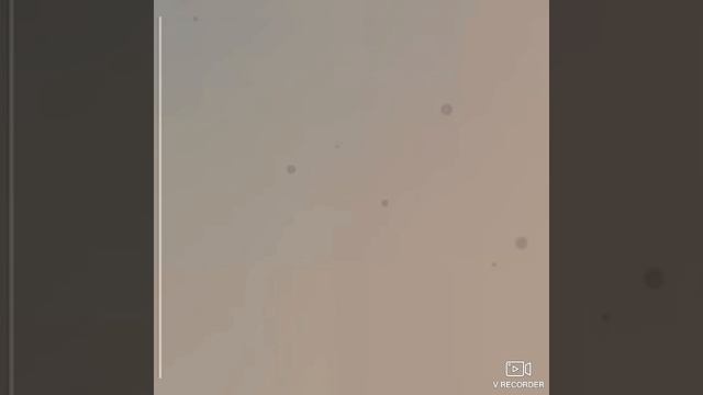 стик 9 трус не играет в хоккей смотреть онлайн