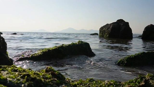 шум моря смотреть онлайн