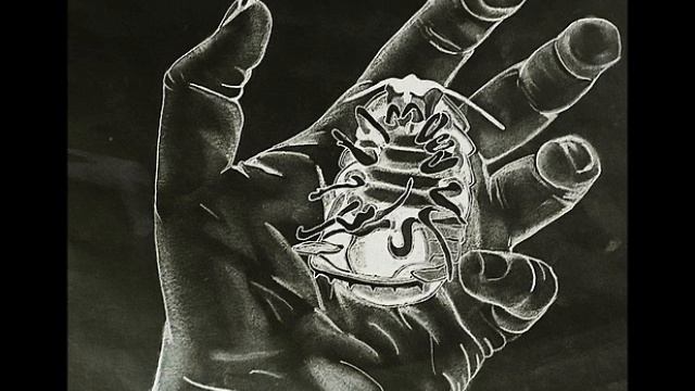 White Noise Broadcast - Die For Me смотреть онлайн