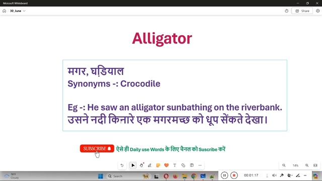 Alligator meaning in Hindi || Alligator meaning in English || Alligator Meaning смотреть онлайн