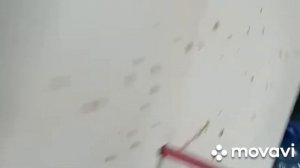Стрельба из арбалета # на что он способен