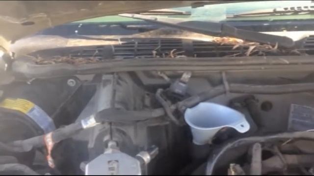 MDOP#6 - Sonoma Oil Change III: The new oil filter and the pour (sort-of) смотреть онлайн