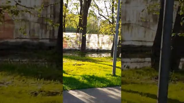 Продолжаем прогулку по Перовскому парку вечером