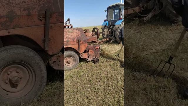 Сенокос 2020 смотреть онлайн