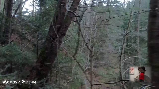 -Не стой, на стол накрывай, моя семья с поезда! Свекровь притащила ораву в наш домик у моря, но... смотреть онлайн