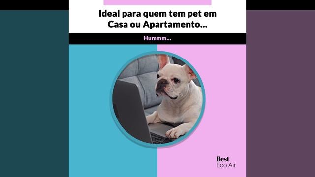 Pet Eco Air смотреть онлайн