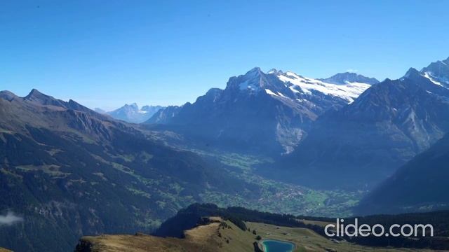 Grandeniko. Коля ДРУГ Самвела, я ХОРОШО мою ПОПУ | Правдивая Ольга смотреть онлайн