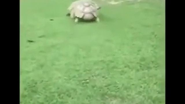 Лучшие песни для друга смотреть онлайн