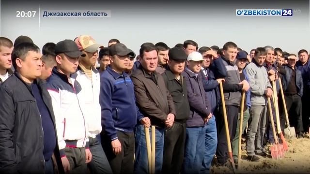 Посадка деревьев сотрудниками МВД смотреть онлайн