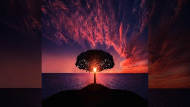 Apmah (Instrumental)