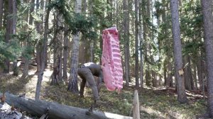 🎬 Первобытные технологии: ребра против каменных наконечников стрел.