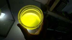 Пробую получить живую дафнию из сухой