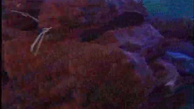 Технологии производства овощей смотреть онлайн