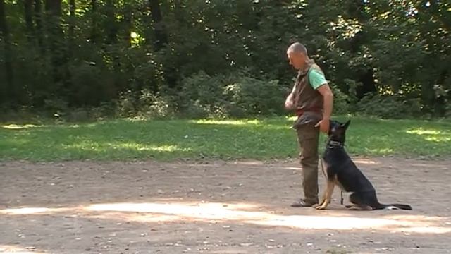 Pirol ChipDAS STUDIUM 16 месяцев 0674219497