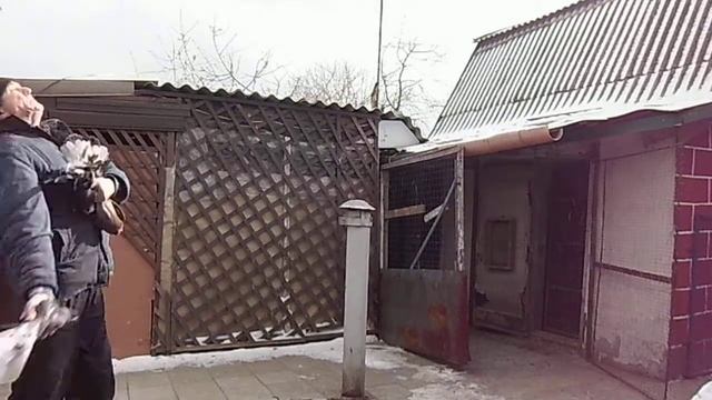 18 02 Воха Ерофей смотреть онлайн