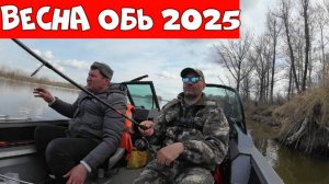 ПОСТАВИЛ ЕЁ И ПОНЕСЛАСЬ РАЗДАЧА! ПОПАЛИ НА ЖОР СУДАКА ДО НЕРЕСТОВОГО ЗАПРЕТА 2025 НА ОБИ