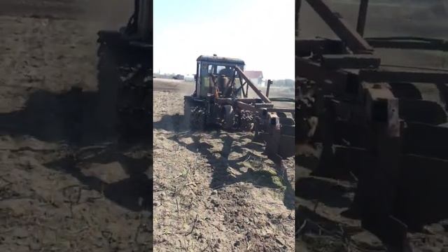 Т-74 в 2018 году