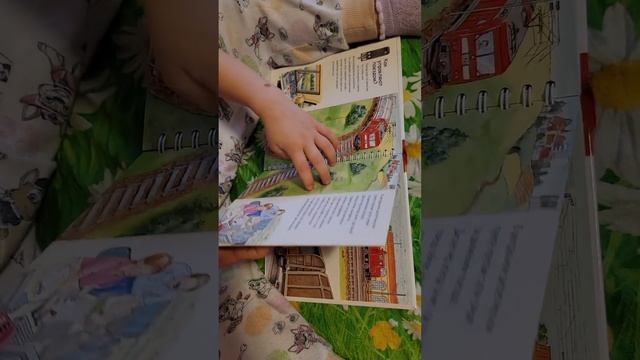 Книжка с окошками 