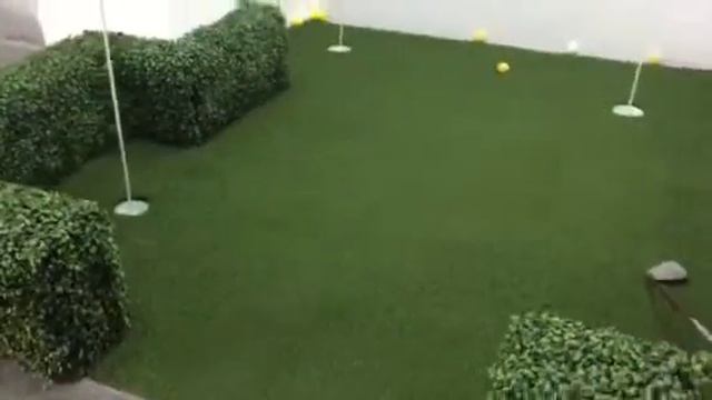 Artificial Hedge Panel Application Boxwood Hedge Used For Garden Fence