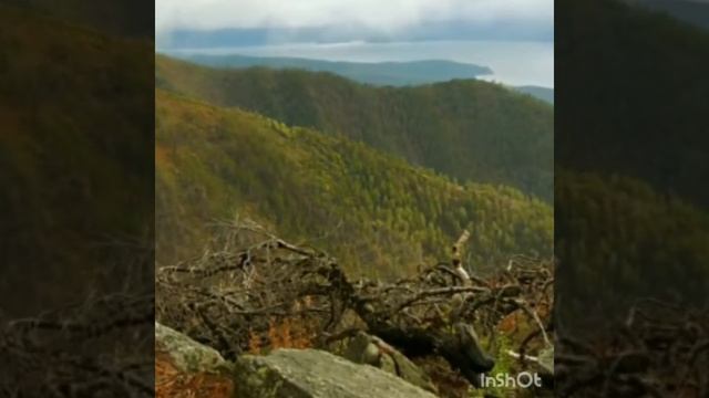 ❤Восстановление жизненной энергии мелодией❤ смотреть онлайн