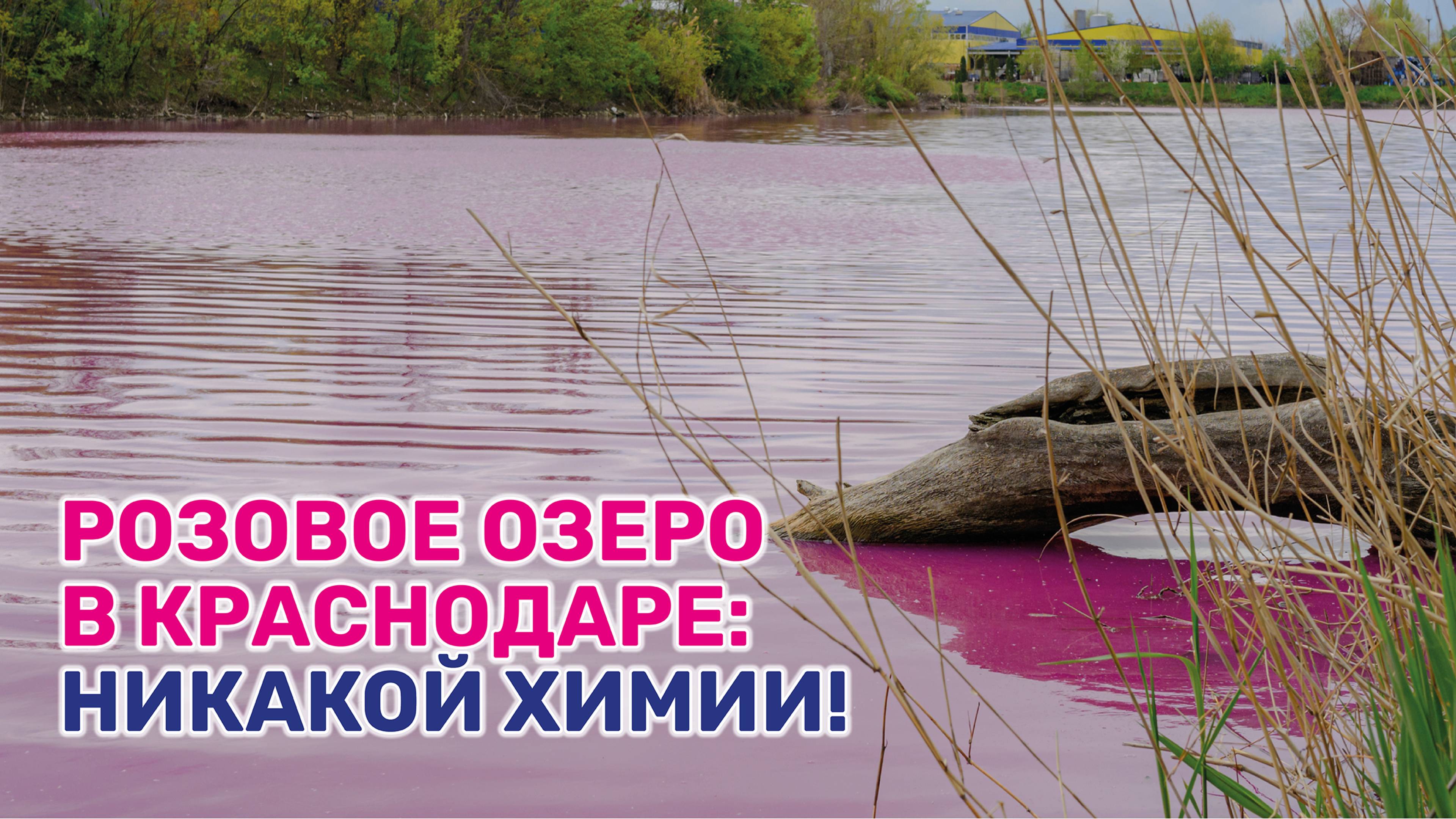 Ученые разгадали тайну загадочного водоема смотреть онлайн