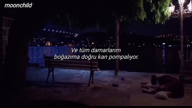 Amy Shark - I said Hi (Türkçe Çeviri) | Aşk101 Sinan смотреть онлайн