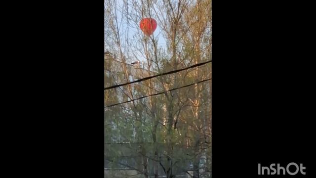 1000003064.mp4 монгольфьер цвета Пасхи смотреть онлайн
