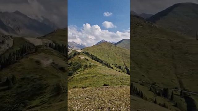 Заилийский Алатау