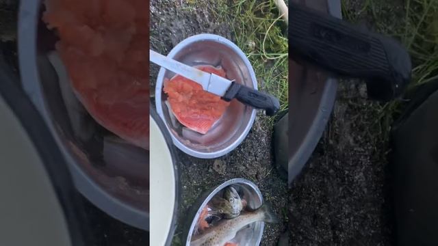 ПЕСТРУШКА на Баренцевом смотреть онлайн