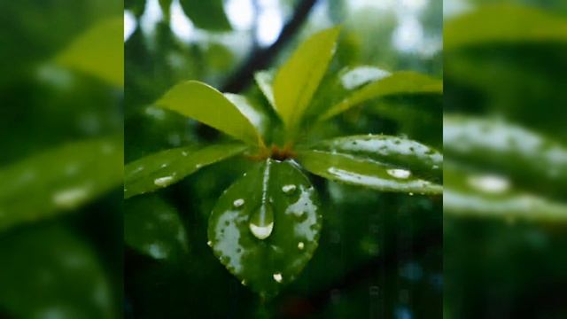 Пасхальная песня ❤️ смотреть онлайн