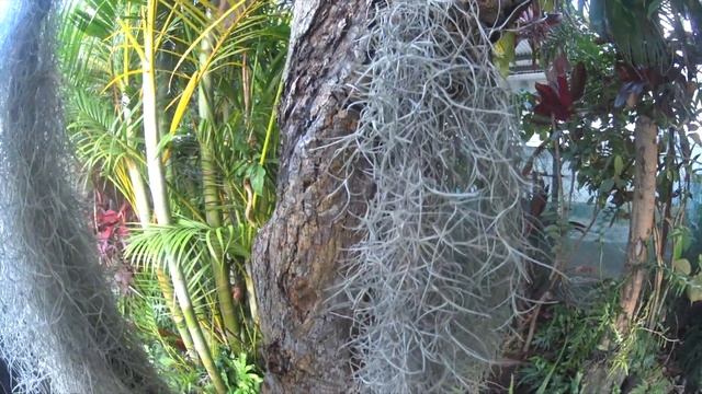 Essai mini caméra Sony. смотреть онлайн