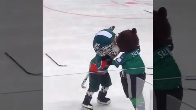 Салават против Барса. смотреть онлайн